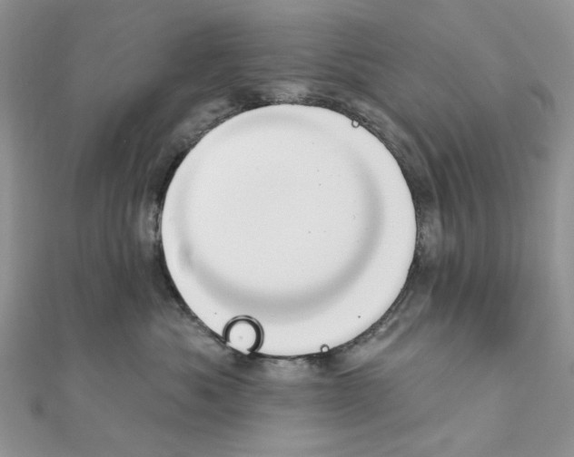 X0000110860525200907301354