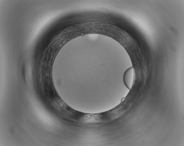 X0000110860526200907301354