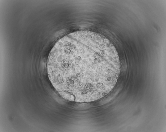 X0000110860527200907301354