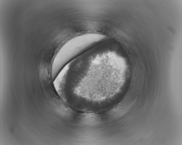 X0000110860528200907301354