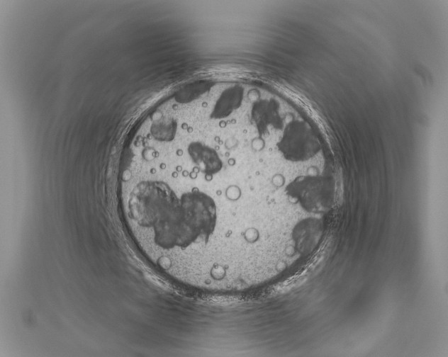 X0000110860529200907301354