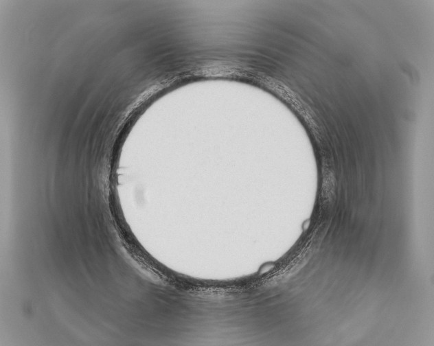 X0000110860530200907301354
