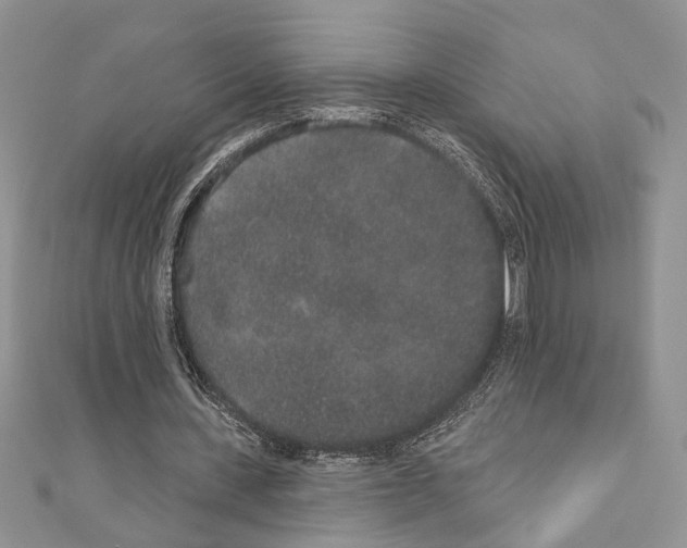 X0000110860531200907301354