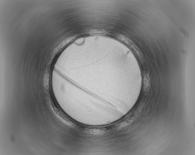 X0000110860533200907301354