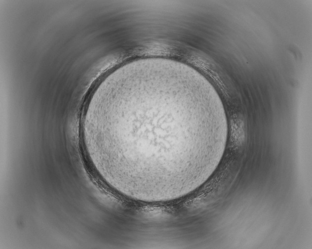 X0000110860534200907301354