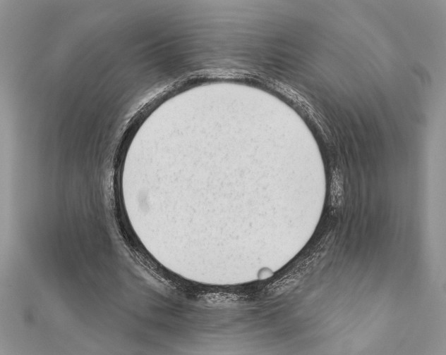 X0000110860535200907301354