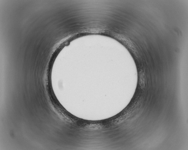 X0000110860536200907301354