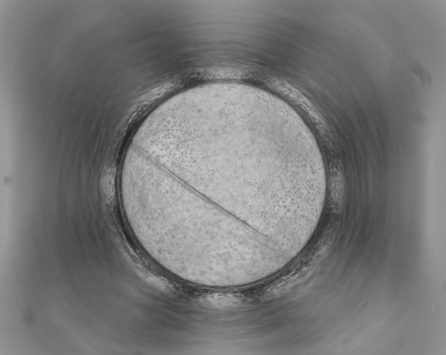 X0000110860537200907301354