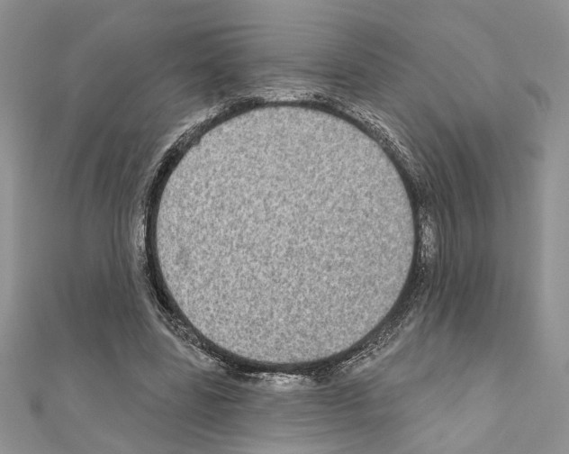 X0000110860539200907301354