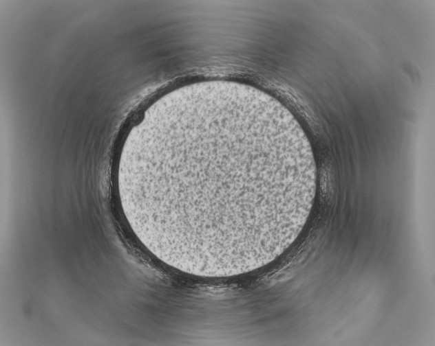 X0000110860540200907301354