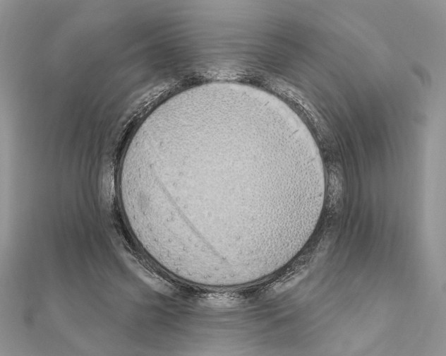 X0000110860541200907301354
