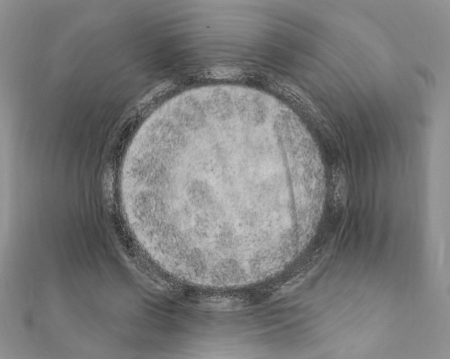 X0000110860542200907301354