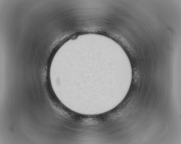 X0000110860544200907301354