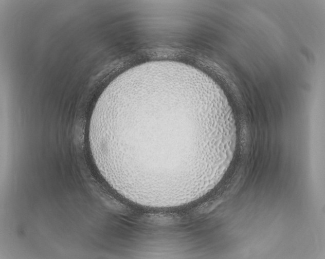 X0000110860545200907301354