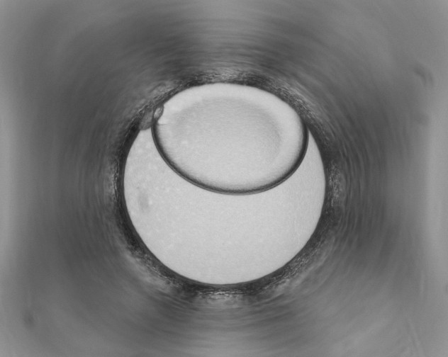 X0000110860546200907301354