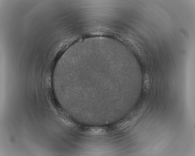 X0000110860547200907301354