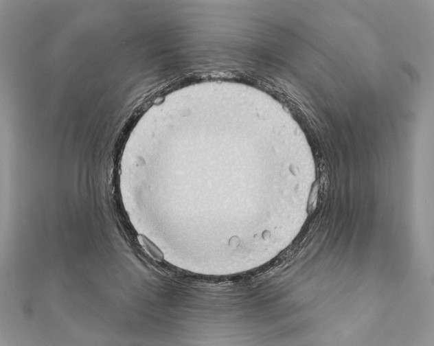 X0000110860548200907301354