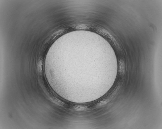 X0000110860549200907301354
