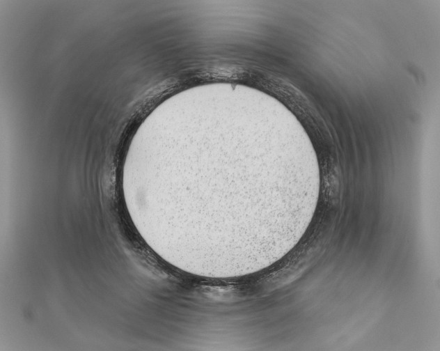 X0000110860552200907301354