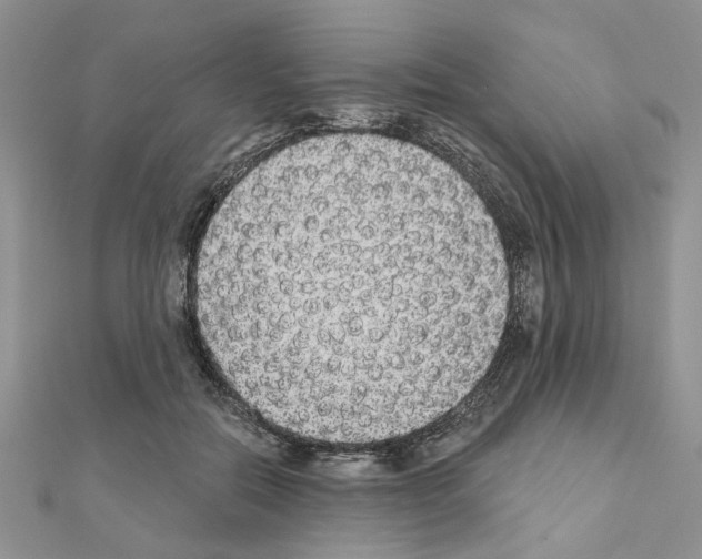 X0000110860554200907301354