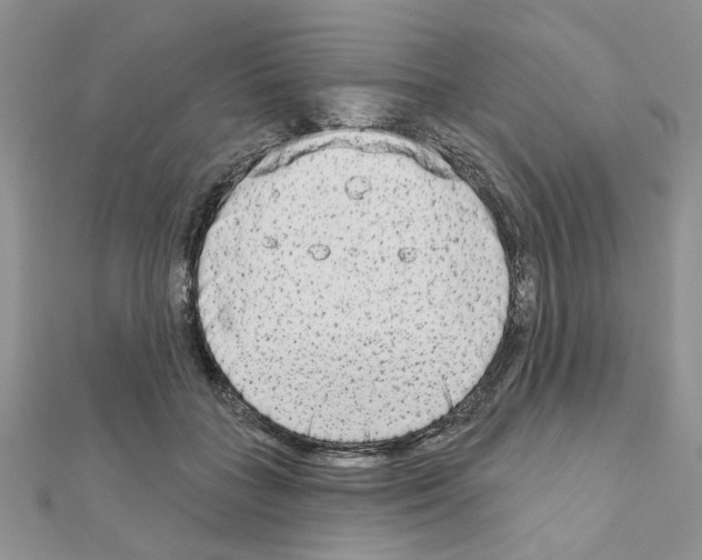 X0000110860555200907301354