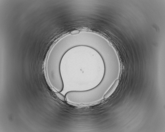 X0000110860556200907301354
