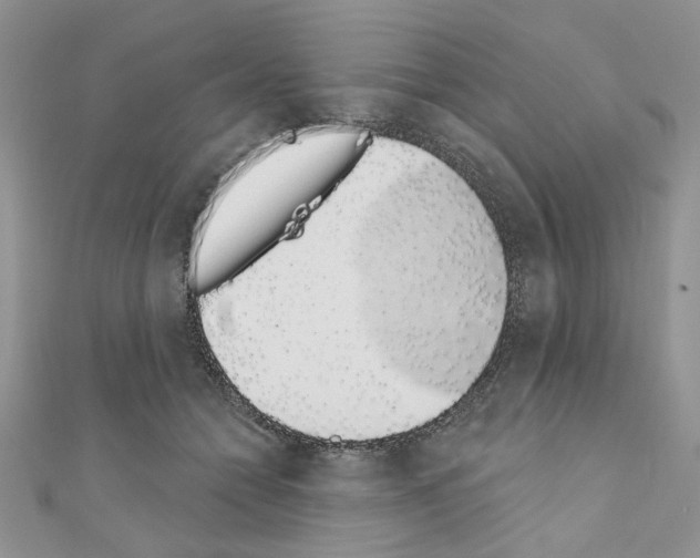 X0000110860558200907301354