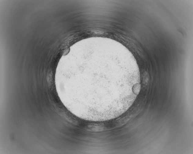 X0000110860559200907301354