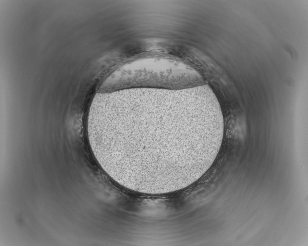 X0000110860560200907301354