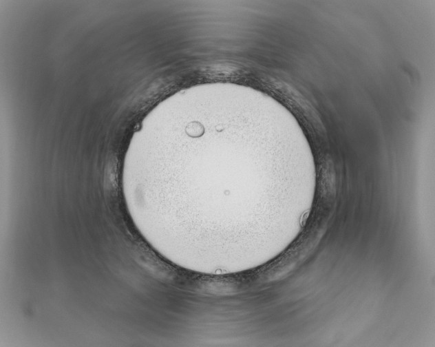 X0000110860561200907301354