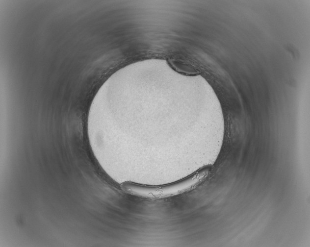 X0000110860562200907301354