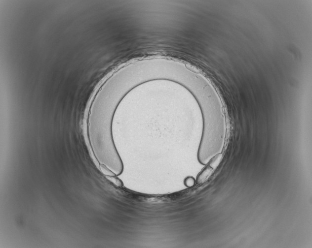 X0000110860566200907301354