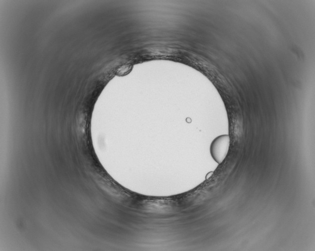 X0000110860567200907301354
