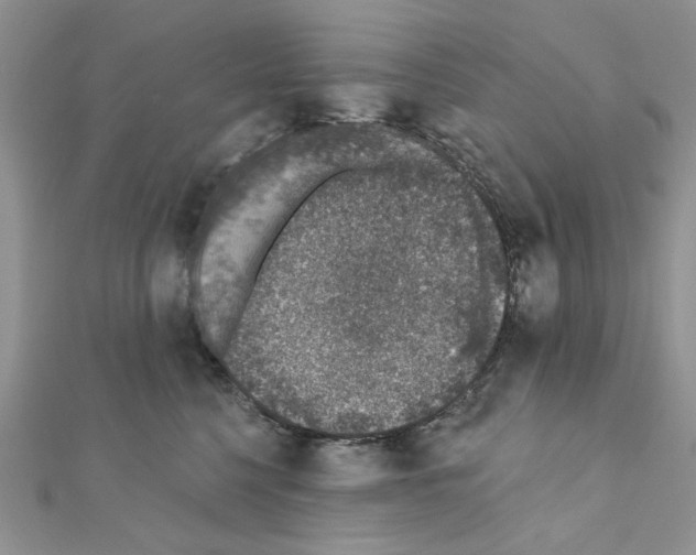 X0000110860568200907301354