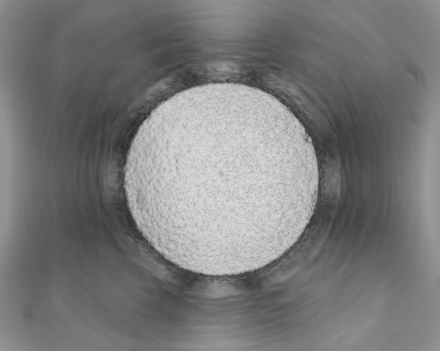 X0000110860569200907301354
