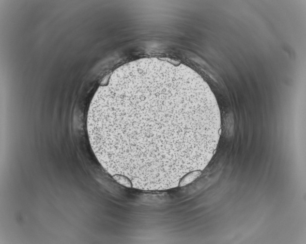X0000110860571200907301354