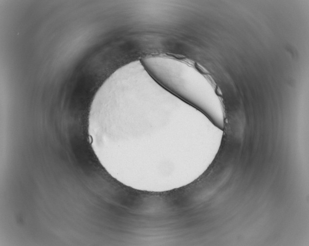 X0000110860572200907301354