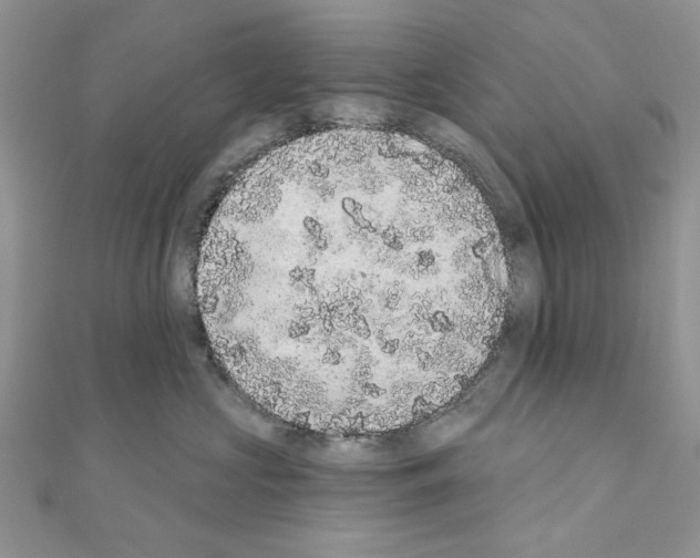 X0000110860573200907301354