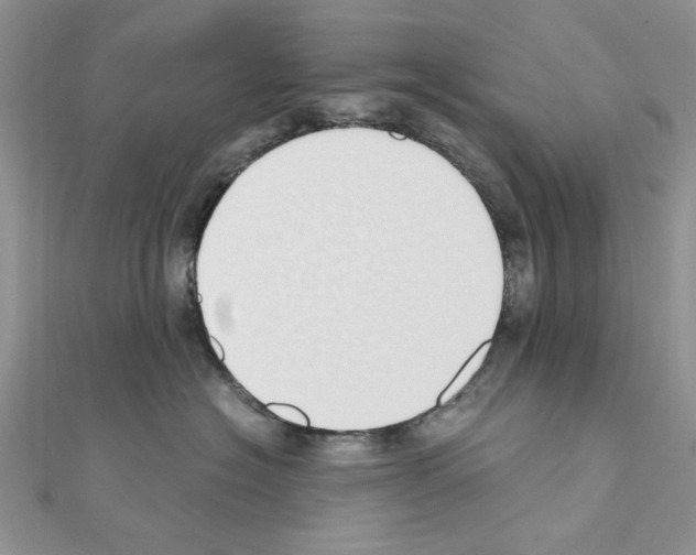X0000110860574200907301354