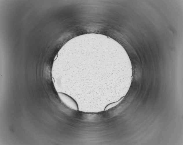 X0000110860575200907301354
