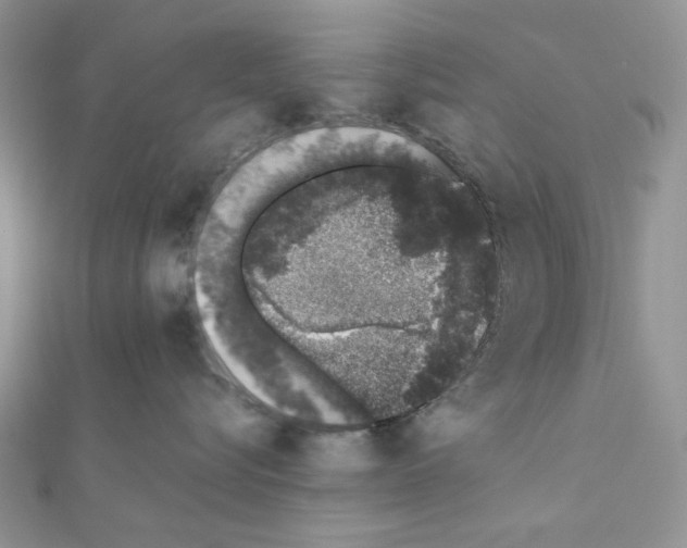 X0000110860576200907301354
