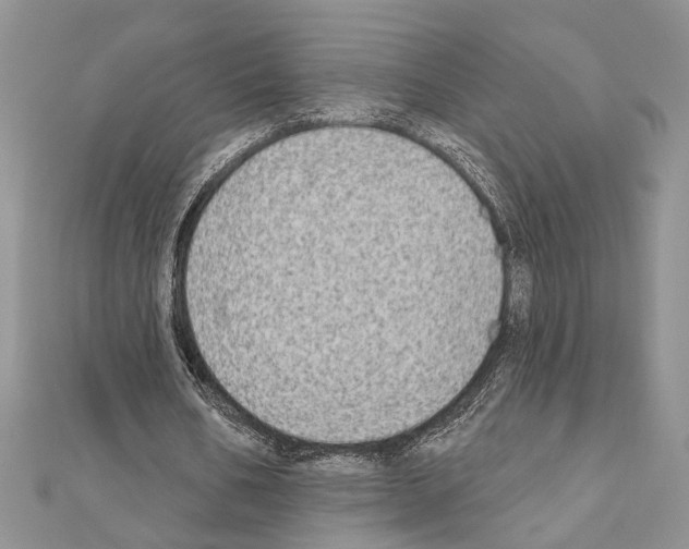 X0000110860578200907301354
