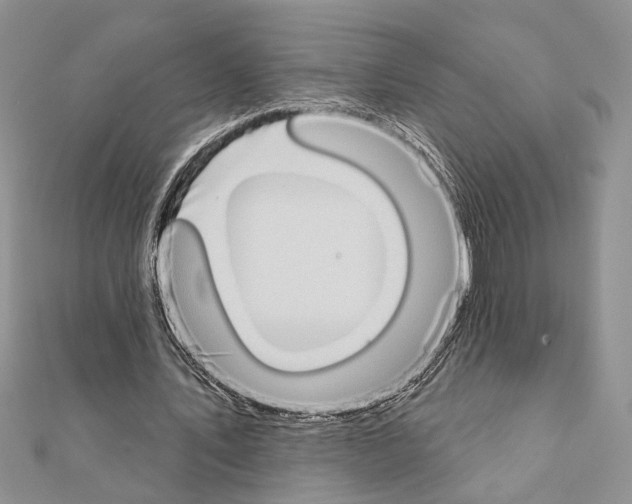 X0000110860579200907301353