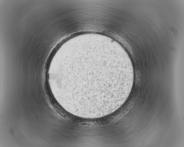 X0000110860580200907301353