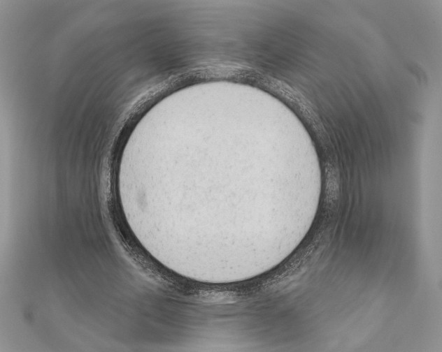 X0000110860582200907301353