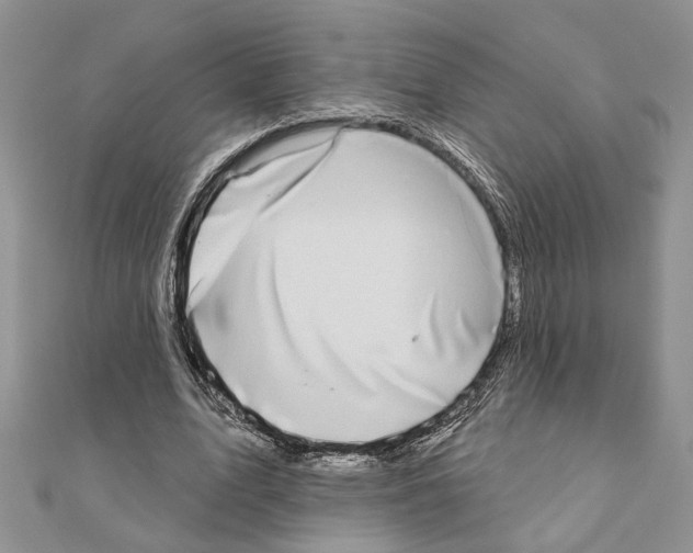 X0000110860583200907301353