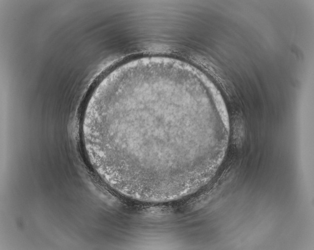 X0000110860584200907301353