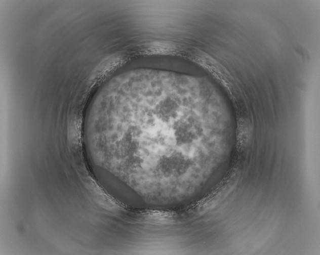 X0000110860585200907301353