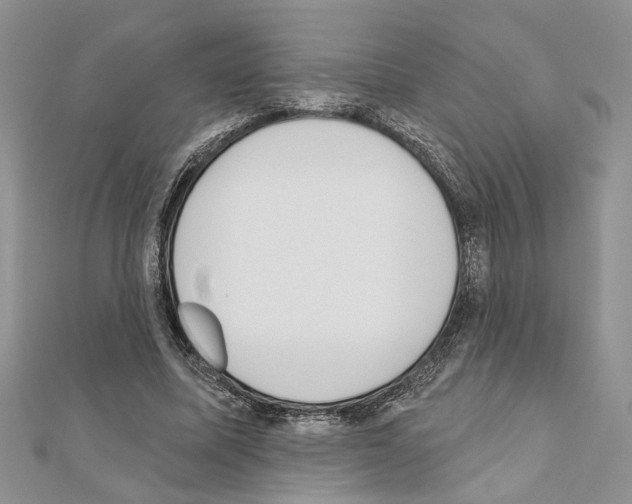 X0000110860587200907301353
