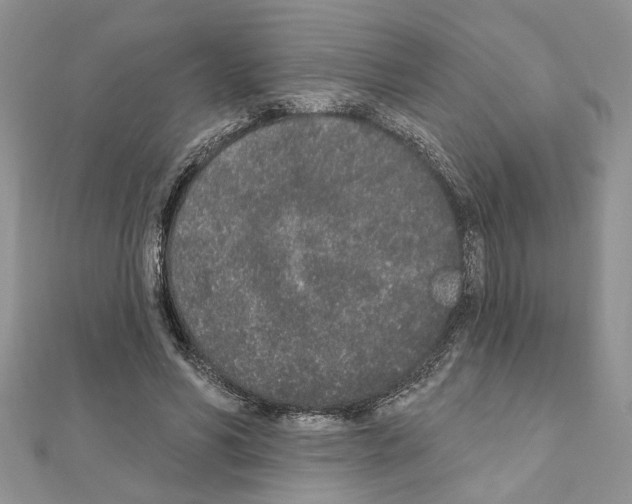 X0000110860590200907301353